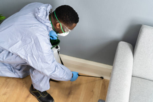 Emergency Pest Control Services in Crestview, FL